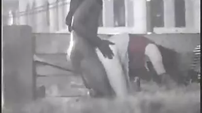 سیدنی عکس سکسی و کون کارسون
